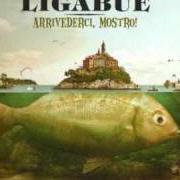 The lyrics LA LINEA SOTTILE of LIGABUE is also present in the album Arrivederci, mostro! (2010)