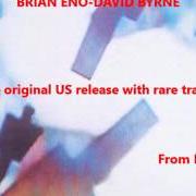 The lyrics A SECRET LIFE of DAVID BYRNE is also present in the album My life in the bush of ghosts (with brian eno) (1981)