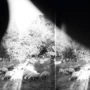The lyrics PEASANTRY OR LIGHT! INSIDE OF LIGHT! of GODSPEED YOU! BLACK EMPEROR is also present in the album Asunder, sweet and other distress (2015)