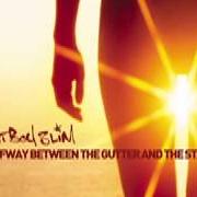 The lyrics MAD FLAVA of FATBOY SLIM is also present in the album Halfway between the gutter and the stars (2000)