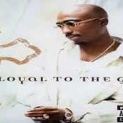 The lyrics THE UPPERCUT of 2PAC is also present in the album Loyal to the game (2004)